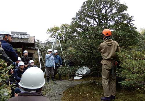 植栽管理の技術指導（和泉市久保惣記念美術館）